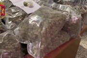 Droga: nascondeva 34 kg di marijuana in fienile, arrestato