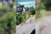 Minibus di linea esce di strada a Capri, una decina di feriti
