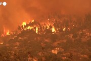 Case circondate dalle fiamme in Grecia, situazione drammatica sull'isola di Evia