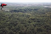 Milano, omicidio nel bosco della droga: arrestati due pusher