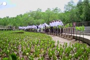 G20, i leader visitano una foresta di mangrovie e piantano piccoli alberi