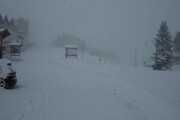 Maltempo tra Lombardia e Trentino, fitta nevicata all'altezza del Passo del Tonale