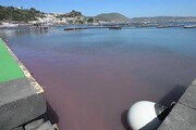 Il mare di Baia rosso per le alghe del lago di Averno
