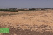 Siccita': 'Situazione disperata, persa meta' produzione di grano'