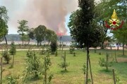 Bibione, incendio in zona boschiva: le immagini del rogo