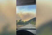 Incendio Carso, Regione Friuli: 'Al momento bassi livelli di pm10'