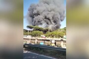 Roma, incendio nella pineta di Castel Fusano