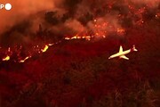 Incendio in California, le immagini aeree dello spaventoso 'Oak Fire'