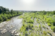 Siccita': il Paglia da grande fiume a piccolo ruscello