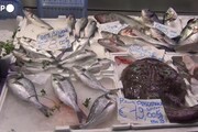 Caro bolletta pesa sul pesce, rischio rincari 20%