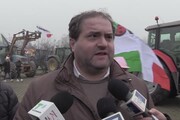 Latte: protesta a oltranza degli allevatori a Linate