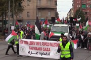 Israele, a Torino manifestazione pro Palestina