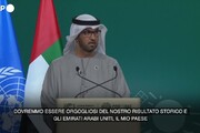 Cop28, Al Jaber: 'Accordo storico, Emirati sono orgogliosi'
