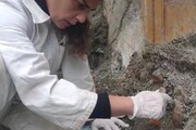 Il 'presepe' dell'antica&nbsp;Pompei, scoperte 13 statuine