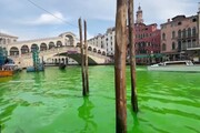 Nuovo blitz a Venezia, Canal Grande si colora di verde
