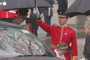 Incoronazione Carlo III, l'arrivo di William e Kate a Westminster