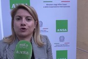 Tripodi: 'Missioni italiane patrimonio che rafforza diplomazia culturale'