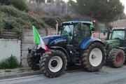 I trattori a Sanremo, 7 mezzi da Melegnano