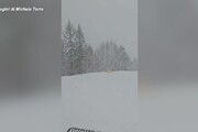 Tormenta di neve a Cima Fertazza