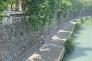 Roma, precipita sulla banchina del Tevere: muore turista 29enne