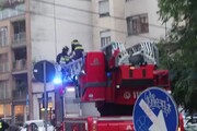 Maltempo in Lombardia, albero caduto sulla rete aerea: ferme due linee dei tram a Milano