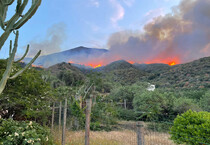 Incendio Stromboli:indagini per accertare eventuali responsabili (ANSA)