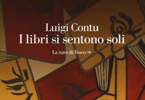 La copertina de I libri si sentono soli di Luigi Contu (ANSA)