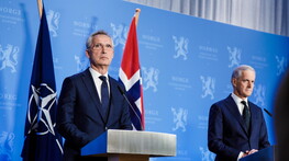 Stoltenberg: "Possibile che a luglio si decida l'adesione della Svezia alla Nato"