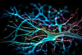 Si è riusciti a bloccare il deficit di memoria grazie a nanoparticelle che trasportano ai neuroni piccole proteine (fonte: freepik)