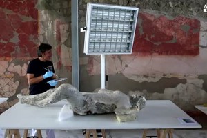 Pompei, 'in cura' i calchi vittime eruzione Vesuvio (ANSA)