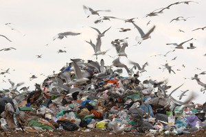 rifiuti discarica discariche - fonte: Europarltv (ANSA)