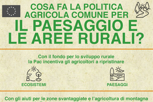 INFOGRAFICA - Cosa fa la politica agricola Ue per il paesaggio e le aree rurali? (ANSA)