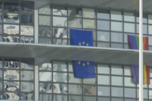 Bandiere Arcobaleno  a Strasburgo (ANSA)