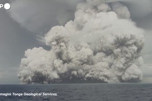 Eruzione vulcanica a Tonga, l'enorme nuvola di cenere copre l'isola (ANSA)