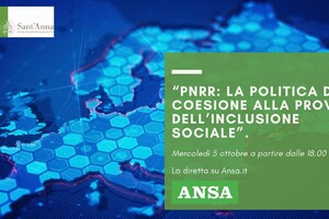 Webinar Sant'Anna-ANSA su Pnrr e inclusione sociale (ANSA)