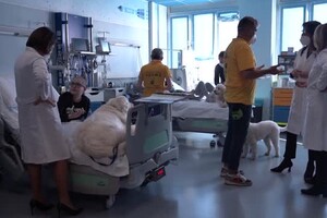 Torna la pet therapy in corsia all'ospedale 