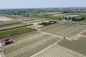 Emilia-Romagna, i campi ricoperti dal fango a Faenza visti dal drone (ANSA)
