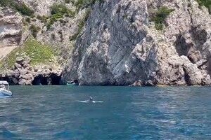 Danze e piroette nel mare di Capri, delfini sorprendono i turisti (ANSA)
