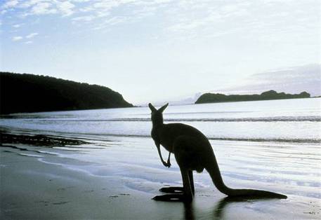 Kangaroo Island, South Australia © Ansa