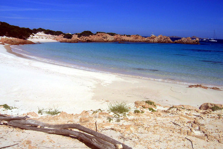 Una immagine di archivio mostra la spiaggia rosa dell'Isola di Budelli, in Sardegna - Foto di archivio - Antonello  Zappadu © ANSA 
