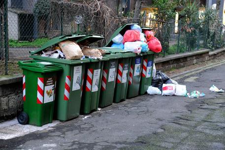 Cassettoni per i rifiuti a Roma © ANSA