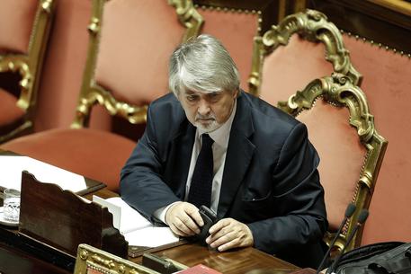 Il ministro del Lavoro, Giuliano Poletti, in Senato © ANSA