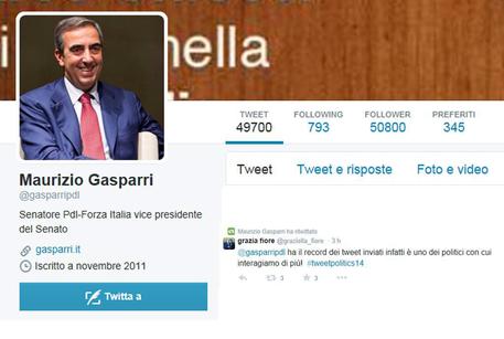 L'account twitter di Maurizio Gasparri © ANSA