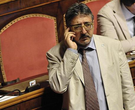 Bartolomeo Pepe, Senato della Repubblica © ANSA 