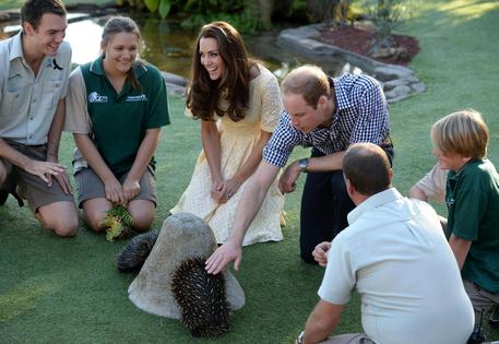 Il duca e la duchessa di Cambridge visitano lo zoo a Sydney © EPA