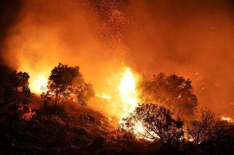 Incendi, massima allerta in Sardegna © EPA