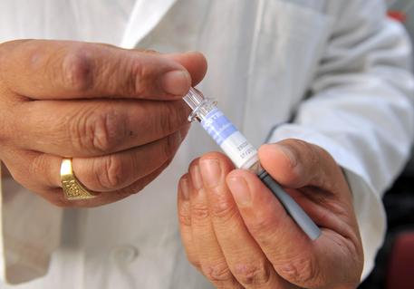Il vaccino contro l'influenza H1N1 (foto: ANSA )