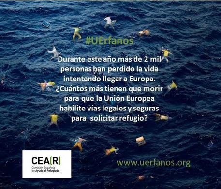 La foto sul profilo dell'organizzazione Cear © Ansa