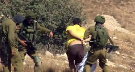 Arresto di Vittorio Fera a Nabi Saleh, nella Palestina occup © ANSA