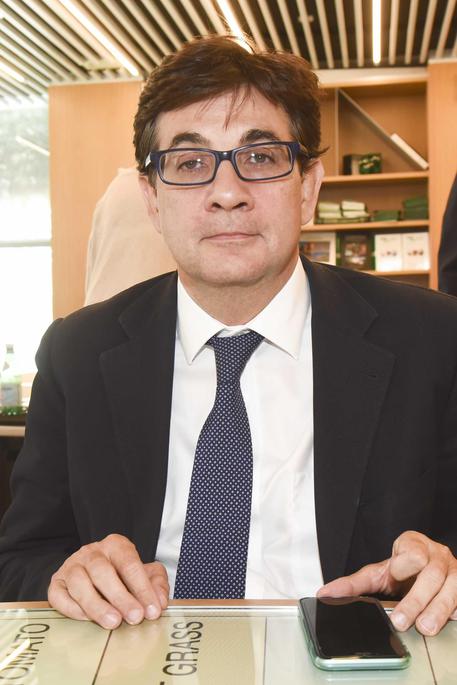 Luca Pancalli, vicepresidente comitato promotore Roma 2024 © ANSA